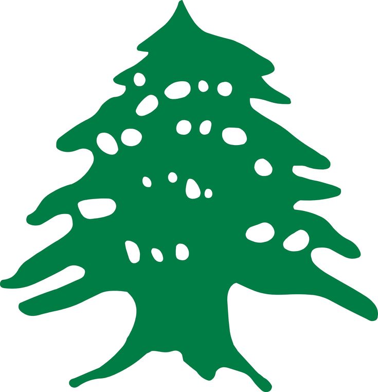 Cèdre